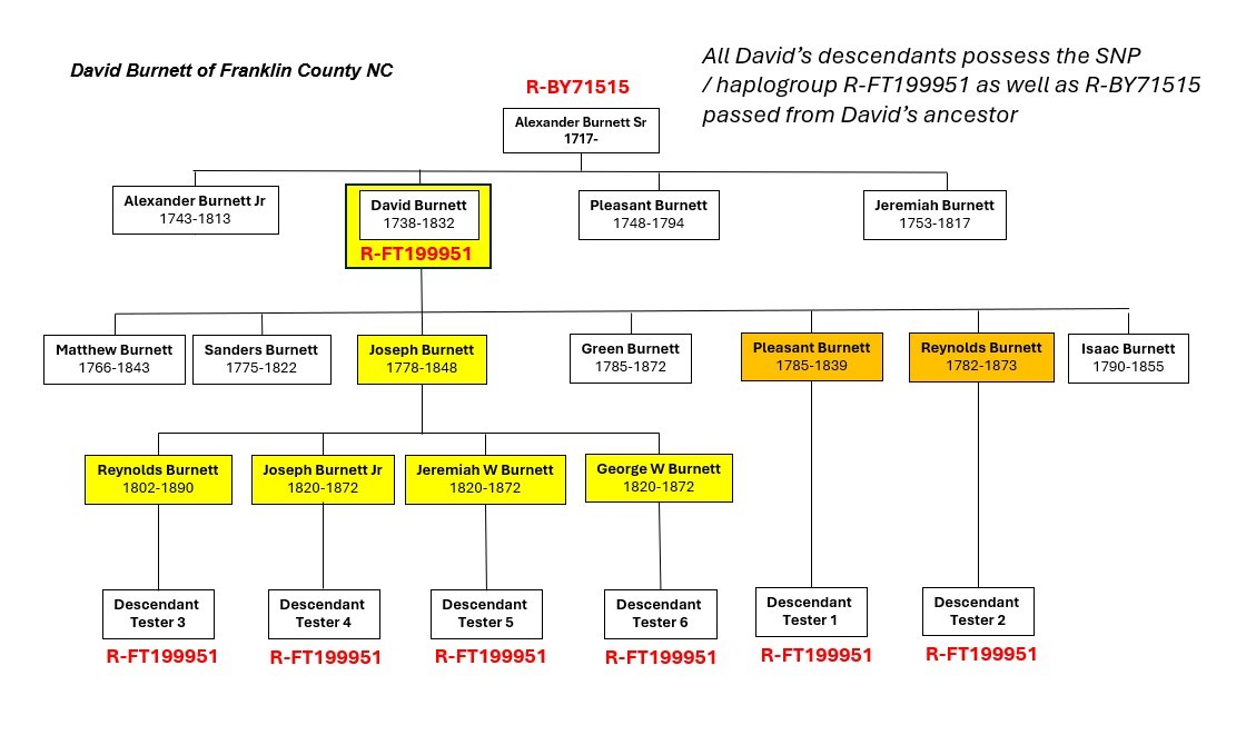 David Burnett Y-DNA Lineage Chart