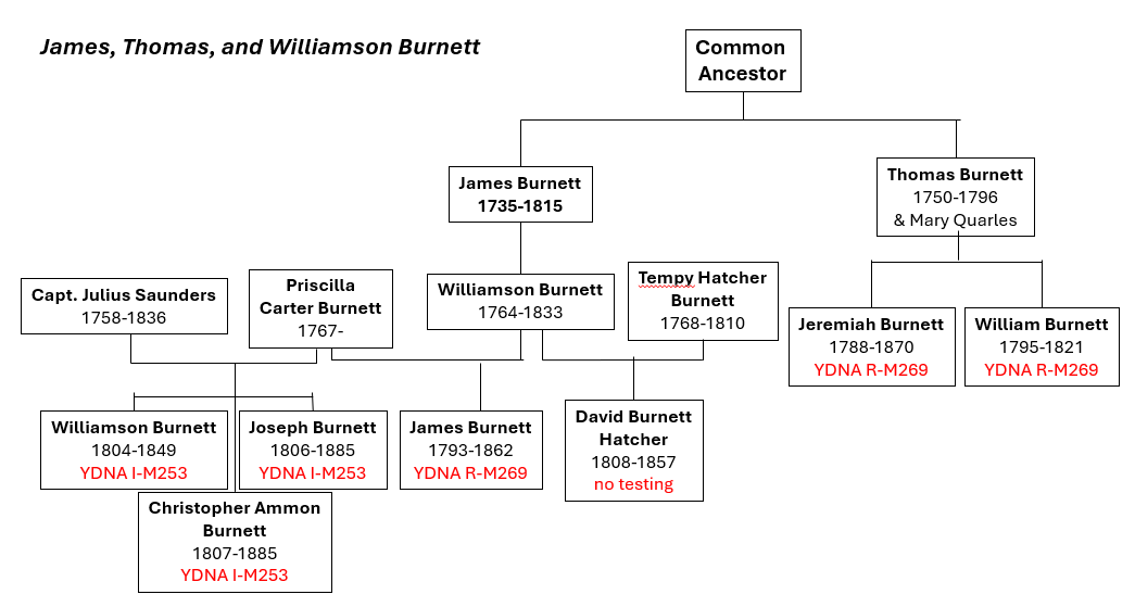 Family chart showing James, Thomas, and Williamson Burnett and their descendants with Y-DNA haplogroups R-M269 and I-M253