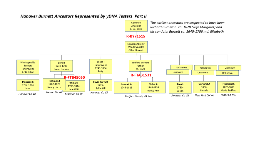 Hanover Burnett Ancestors Represented by yDNA Testers – Part II