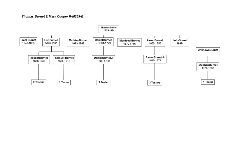 R‑M269E Family Chart