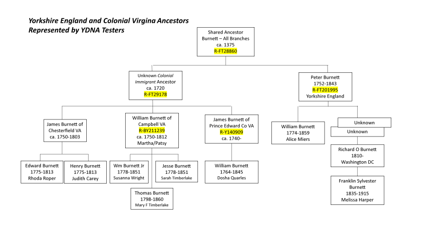 R‑M269J Family Chart