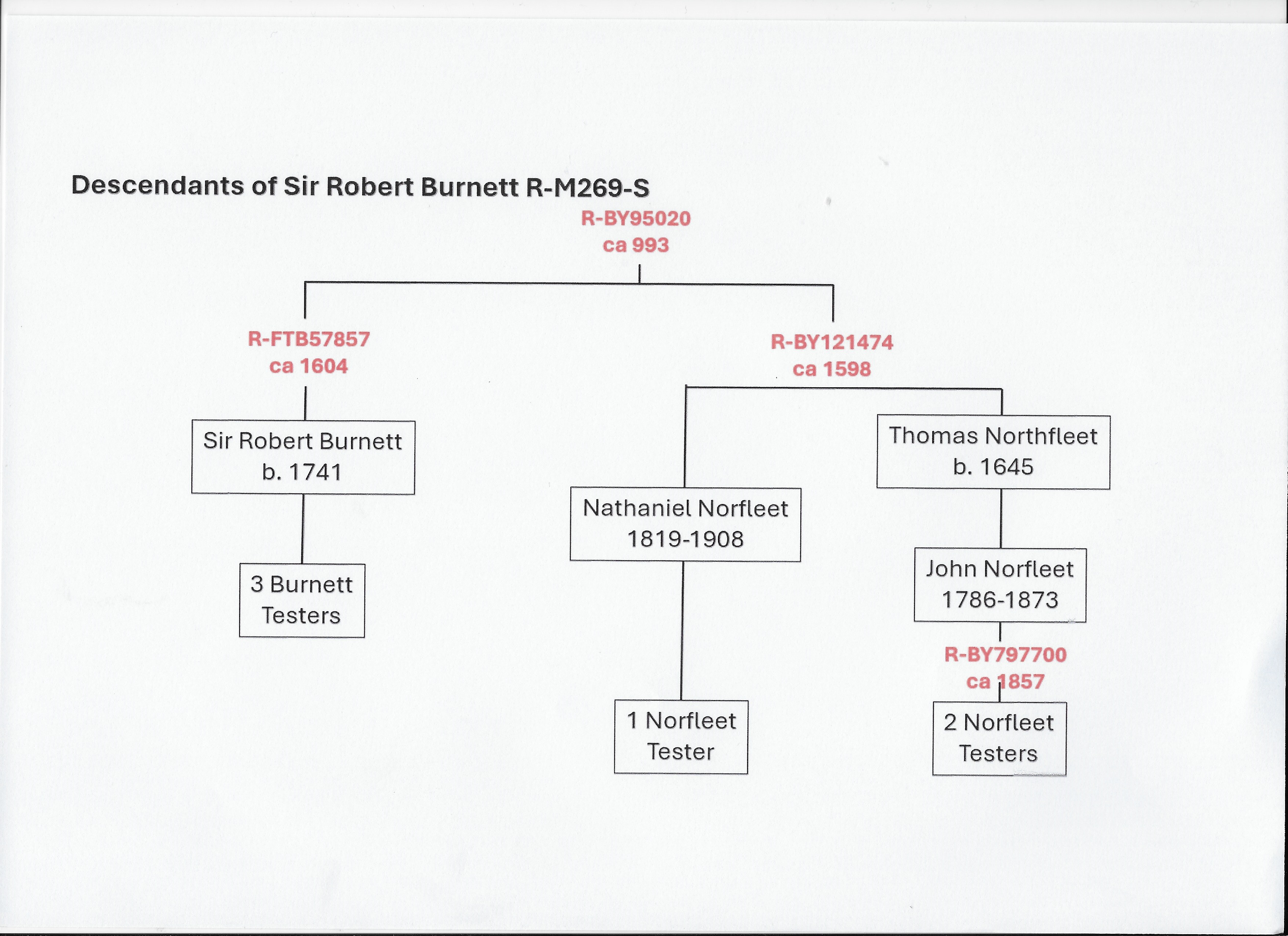 R‑M269S Family Chart