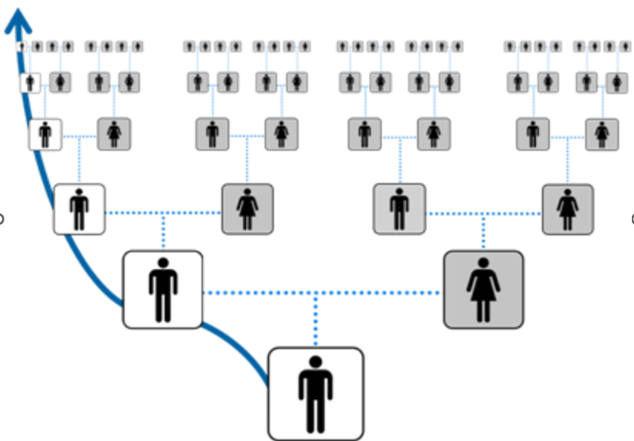 Diagram showing Y‑DNA inheritance through the paternal line